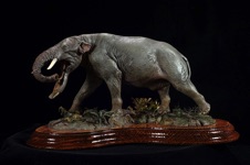 platybelodon01.jpg