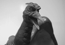 RODAN_25.jpg